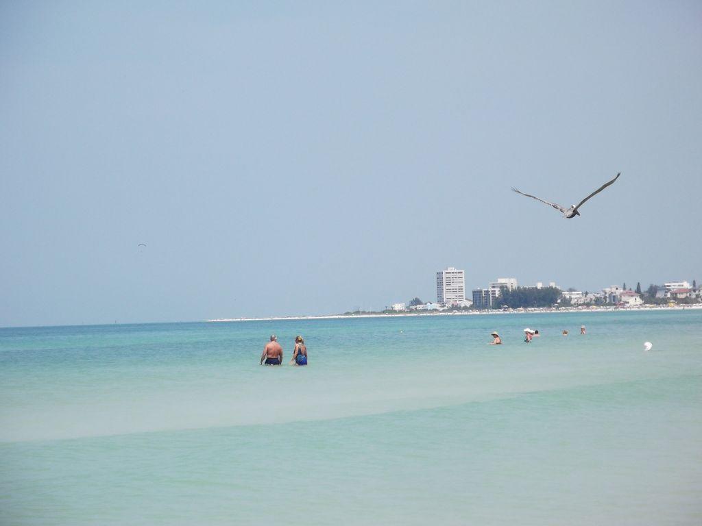 2Br/1Ba Vacation Rental - Sienna Park Sarasota Zewnętrze zdjęcie